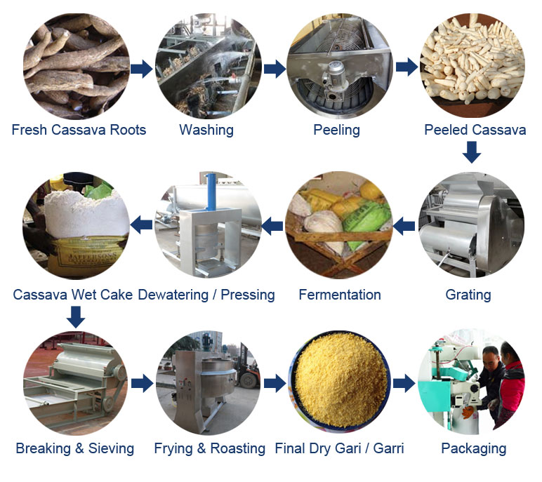 Cassava Gari / Garri Production Process