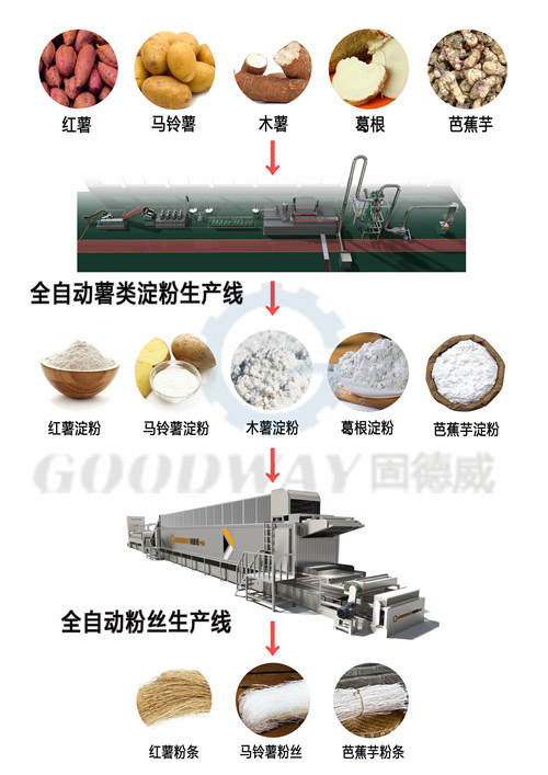 Three Large Sweet Potato Processing Lines are all Delivered