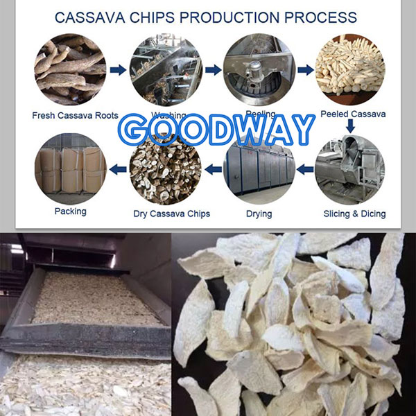 cassava chips processing plant