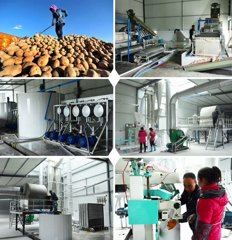 Potato starch processing equipment