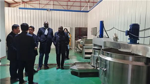 “Nugging gold”From Cassava - GOODWAY Machinery Boosts The Modernization Of Africa's Cassava Processing Industry