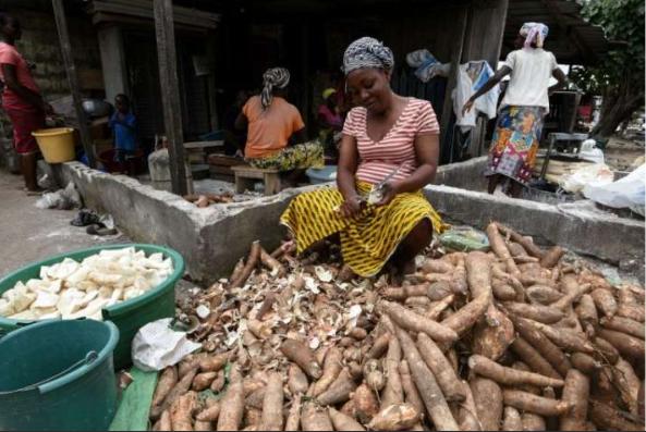 cassava-processing-equipment-20231225-3.jpg