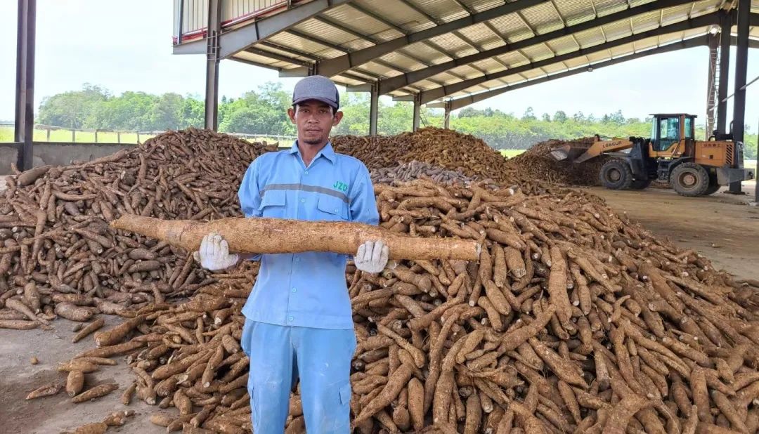 cassava-processing-equipment-20231225-5.jpg