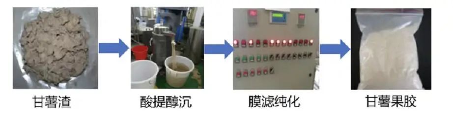 starch-processing20240112-2.jpg