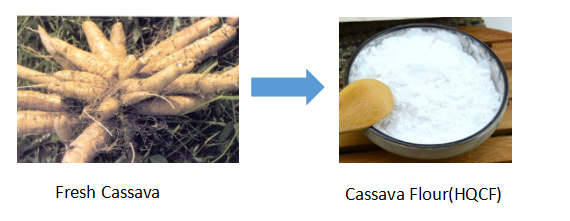 Cassava Flour Machine