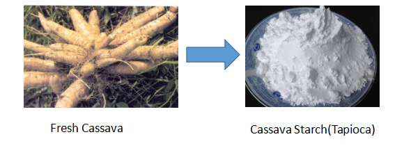 Cassava (tapioca) Starch Processing Machine