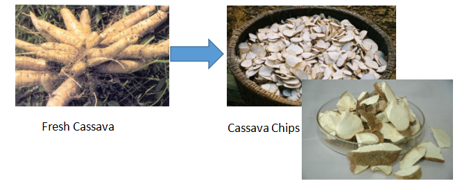 Cassava Chips Making Machine