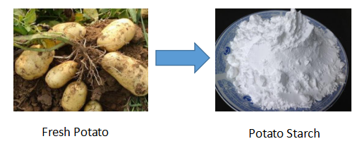 Potato Starch Making Machine