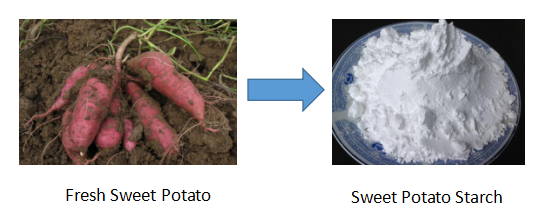 Sweet Potato Starch Machine