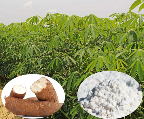 20t/d cassava flour production line settled in Africa