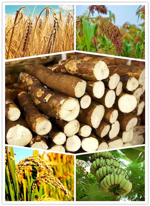 20t/d cassava flour production line settled in Africa