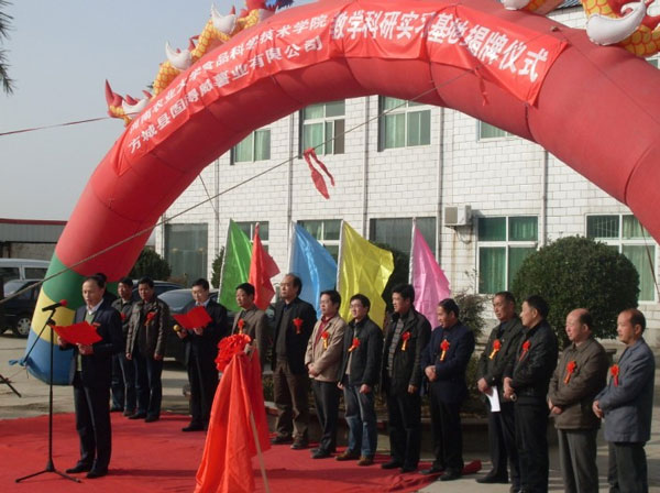 Henan Agricultural University Teaching and Research Practice Base Unveiled in NANYANG GOODWAY CASSAVA&POTATO Industry