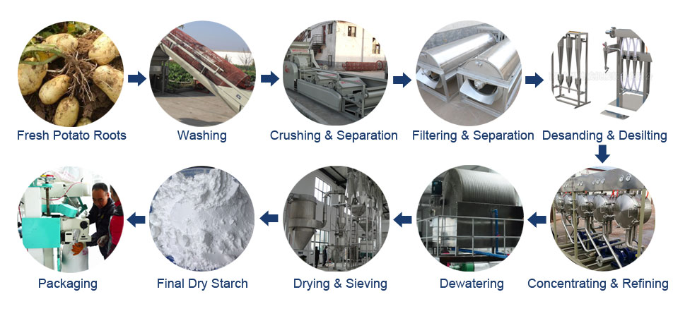 Potato Starch Production Process