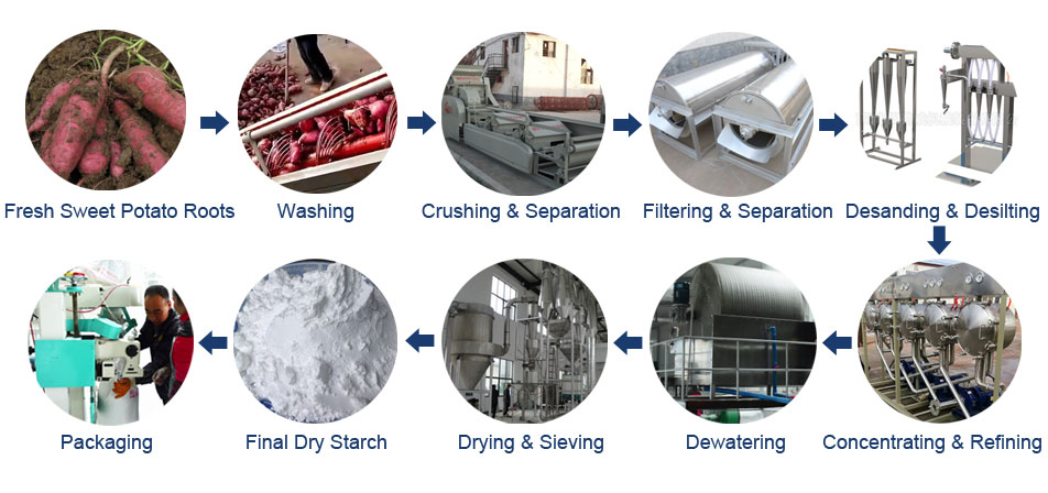 Sweet Potato Starch Production Process