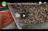 Cassava Cage Washing Machine