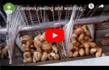 Cassava Peeling Machine