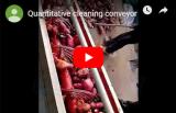 Quantitative Cleaning Conveyor
