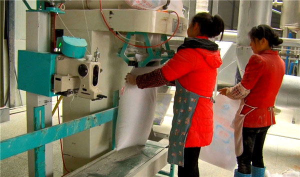 The picture shows the last process of the equipment production line: starch finished bagging and packaging
