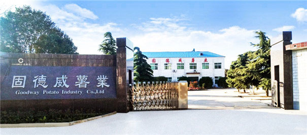 The Professional Manufacturer of Cassava Starch Processing Equipment in Henan Province