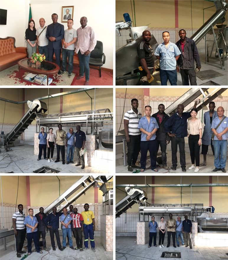 Cameroon 500Kg per hour Output Cassava Flour Processing Machine