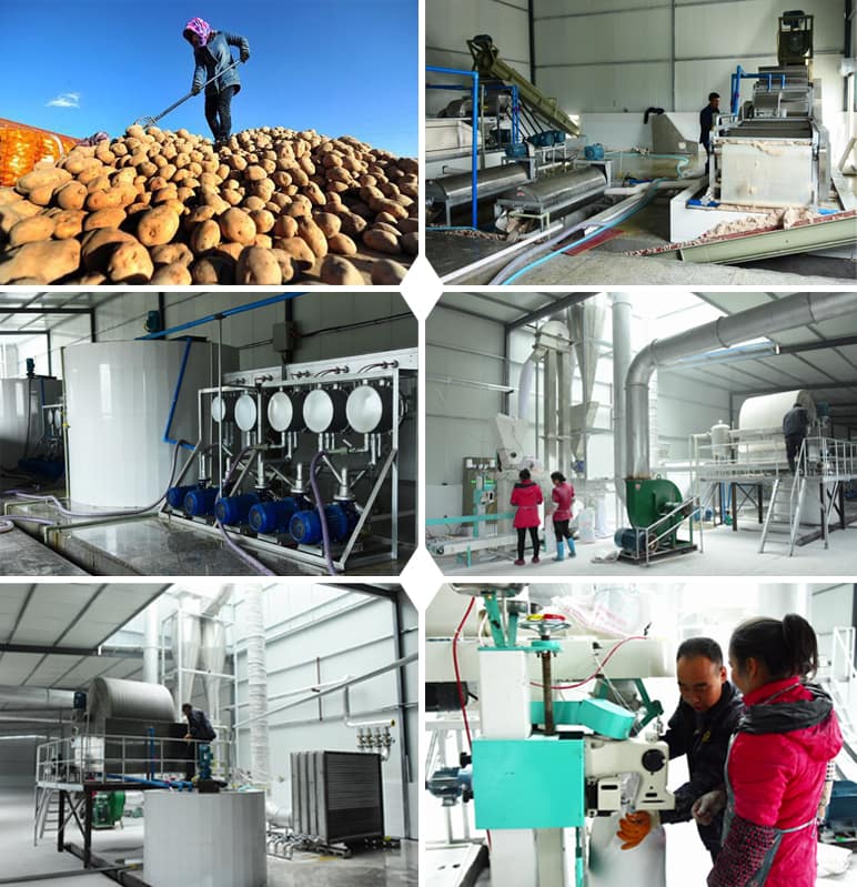 Project case : China local potato starch processing plant Capacity : 300tons per day input fresh potato Location: in China