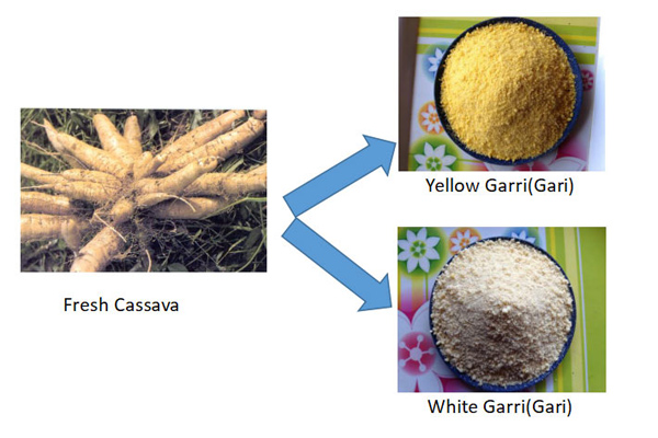 process garri from cassava tubers