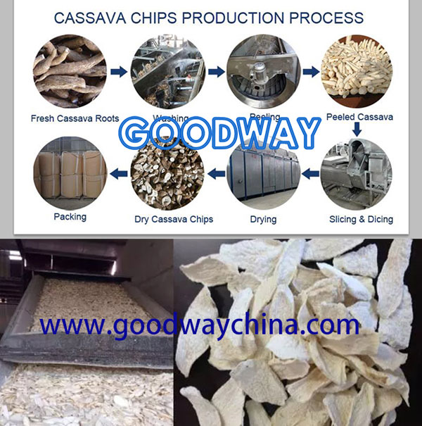 a professional cassava chips processing line
