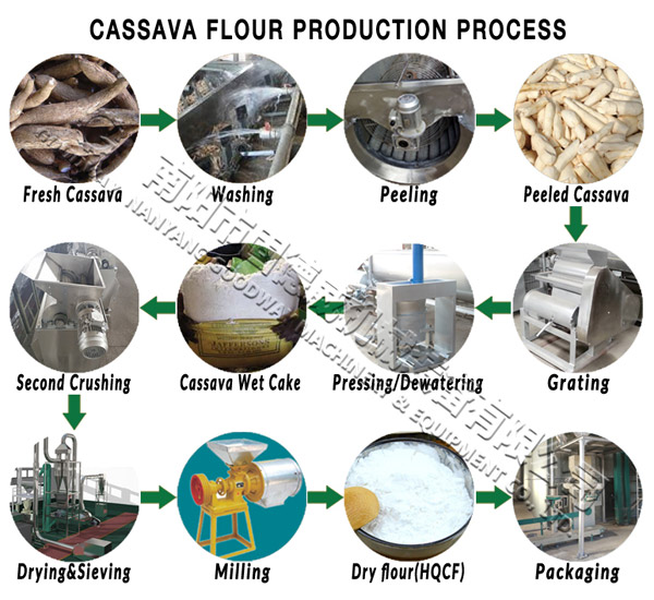 cassava flour production process
