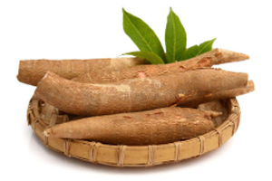 cassava