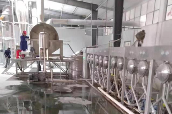 Cassava Starch Processing Line-3