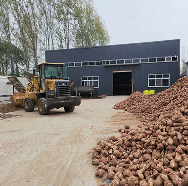 Potato Starch Production Line