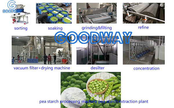 Pea Starch Processing Machine