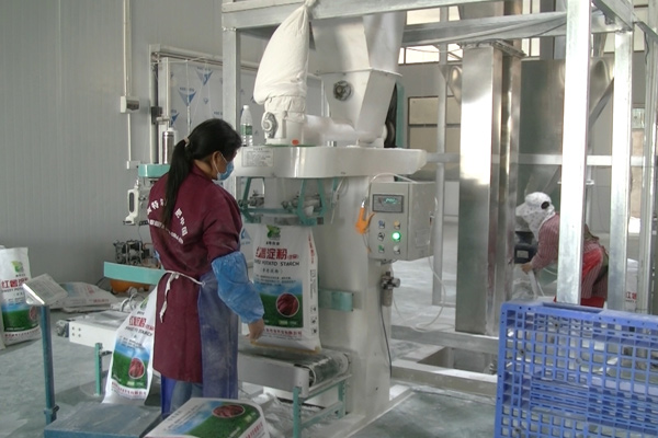 cassava-drying-machine-1.jpg