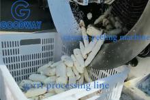Cassava Peeling and Washing Machine