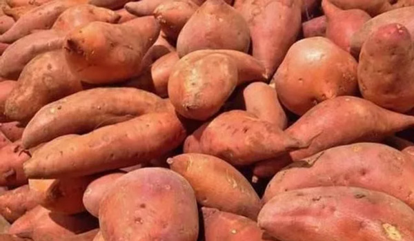 The Analysis of Investment and Profits of Sweet Potato Starch Pruduction