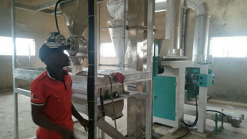 What Are the Cost Inputs for Setting Up a Starch Cassava Starch Processing Plant