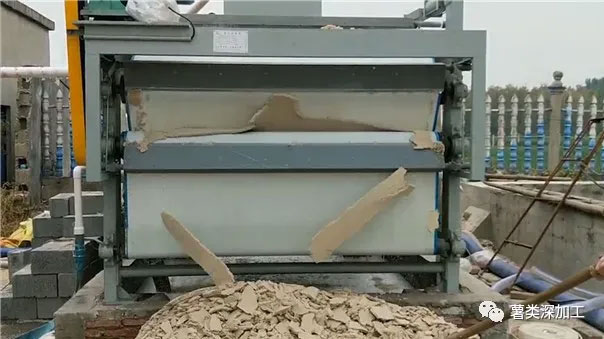 Seven Basic Basis for Selecting Sweet Potato Starch Processing Equipment