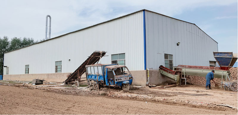 How to Choose Processing Equipment for Setting Up a Sweet Potato Starch Factory for the First Time, You Can't Go Wrong with These 5 Points