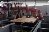 cassava chipping machine cassava chips cutting machine