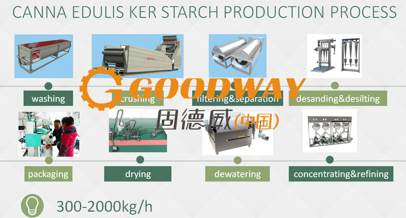 Mechanized Canna edulis ker starch process