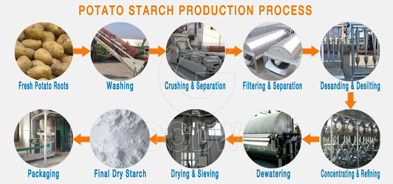 potato starch production process