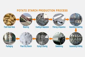 Potato Starch Processing Plant