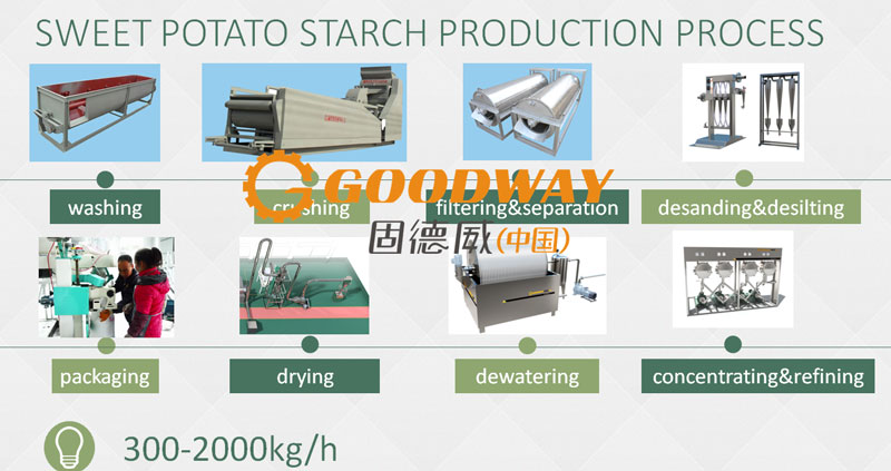 sweet potato starch production process