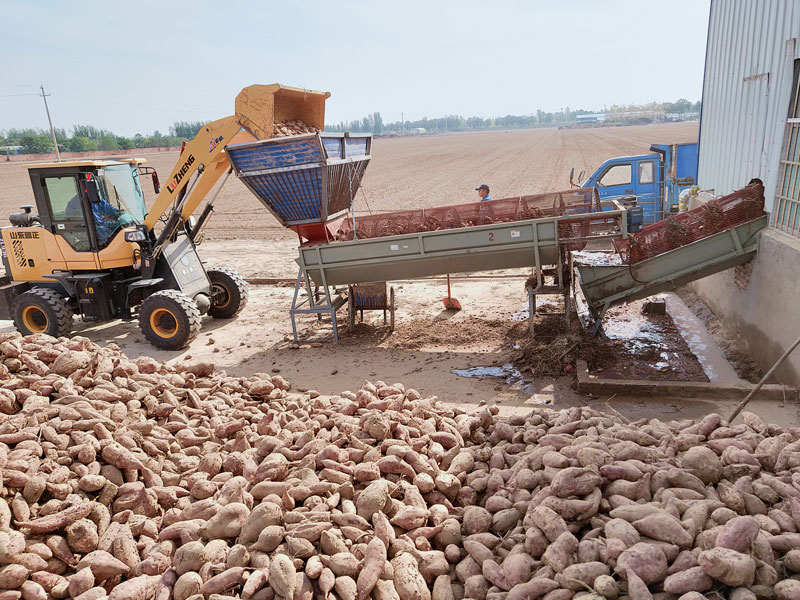 Sweet potato washing machine part