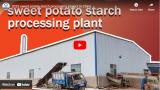 2023 sweet potato starch processing project in China