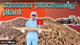 Welcome to visit China cassava processing machine manufacturer