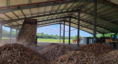 Cassava Processing Machine