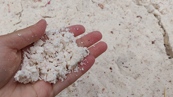 Hydraulic Press Dewatering