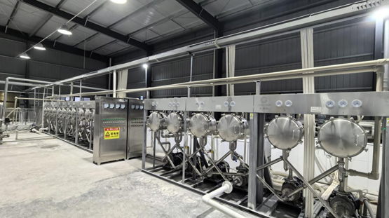 Desilting & Purification