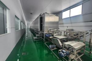 Automatic Coating-type Vermicelli Line